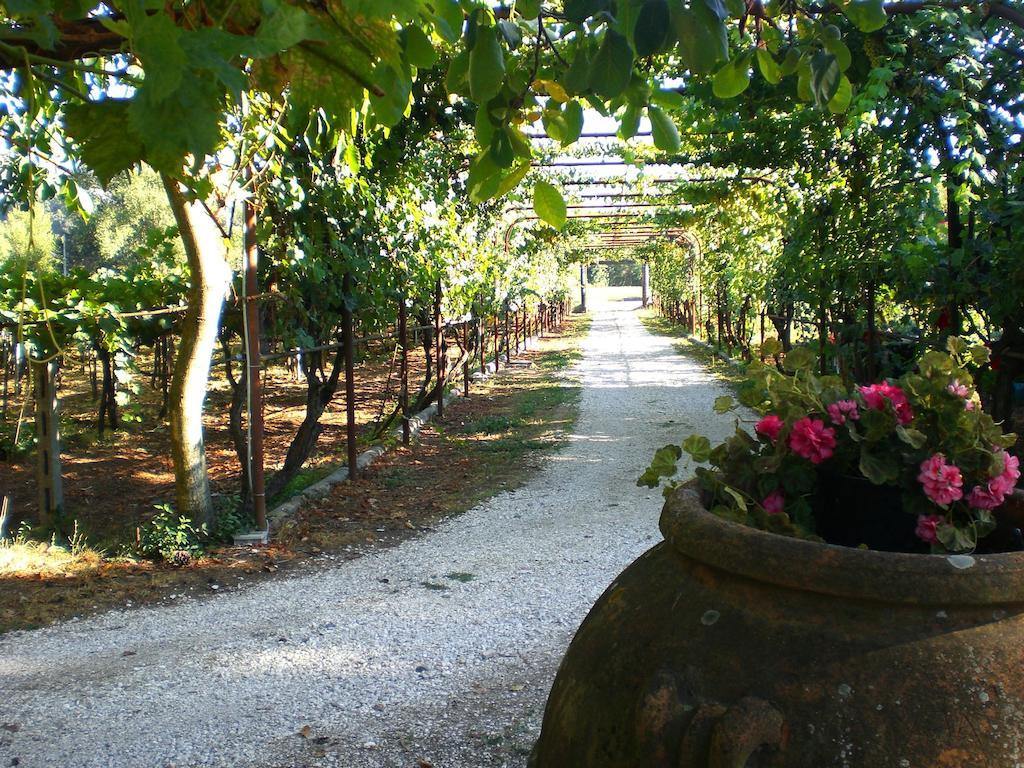 Valle Degli Arci Castel Madama Ngoại thất bức ảnh